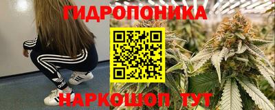 гидра Когалым