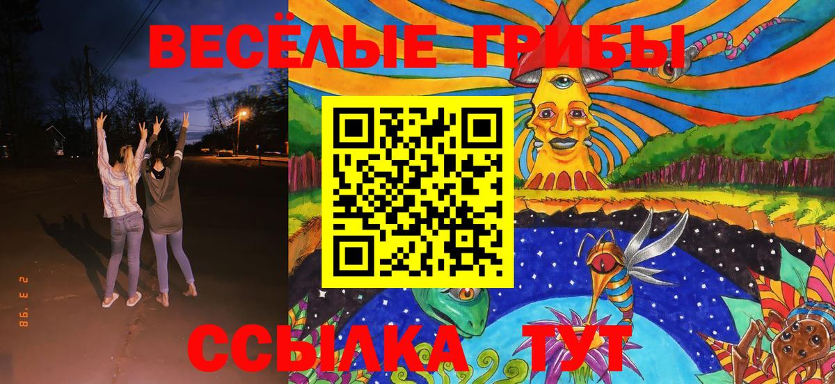Галлюциногенные грибы MAGIC MUSHROOMS  Вход с VPN  Сланцы 